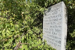 goldsteig-wanderweg-trail-marktredwitz-oberviechtach-049