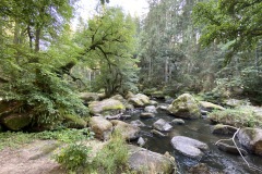 goldsteig-wanderweg-trail-marktredwitz-oberviechtach-060