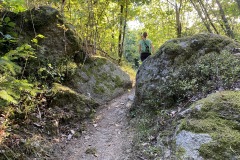 goldsteig-wanderweg-trail-marktredwitz-oberviechtach-061