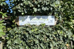 goldsteig-wanderweg-trail-marktredwitz-oberviechtach-072