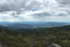 2019-05-24-12.54.26