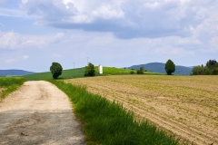DSC_4149