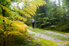 goldsteig-trail-wanderweg-dsc_4804