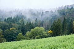 goldsteig-trail-wanderweg-dsc_4812