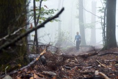 goldsteig-trail-wanderweg-dsc_4826