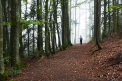 goldsteig-trail-wanderweg-dsc_4841