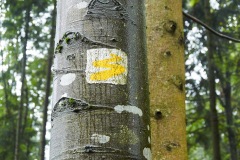goldsteig-trail-wanderweg-dsc_4847