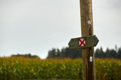 goldsteig-trail-wanderweg-dsc_4856
