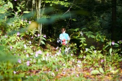 goldsteig-trail-wanderweg-dsc_4861