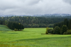 goldsteig-trail-wanderweg-dsc_4867