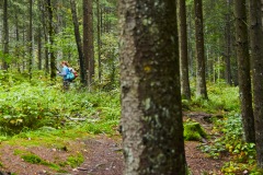goldsteig-trail-wanderweg-dsc_4876