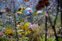 goldsteig-trail-wanderweg-dsc_4932