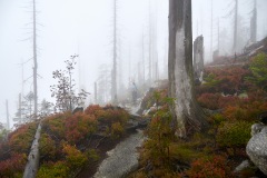 goldsteig-trail-wanderweg-dsc_4948