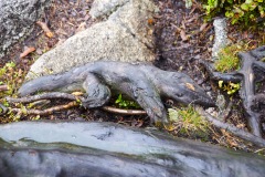 goldsteig-trail-wanderweg-dsc_4953