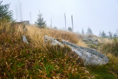 goldsteig-trail-wanderweg-dsc_4997