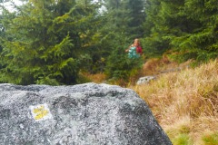 goldsteig-trail-wanderweg-dsc_5002