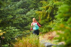 goldsteig-trail-wanderweg-dsc_5004