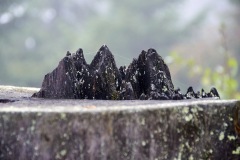 goldsteig-trail-wanderweg-dsc_5011