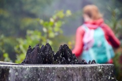 goldsteig-trail-wanderweg-dsc_5013