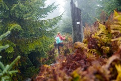 goldsteig-trail-wanderweg-dsc_5017