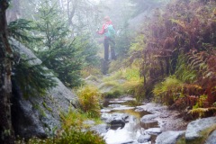 goldsteig-trail-wanderweg-dsc_5027x