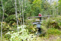 goldsteig-trail-wanderweg-dsc_5059
