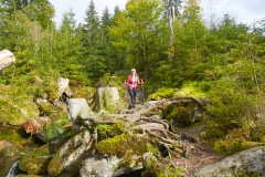 goldsteig-trail-wanderweg-dsc_5061