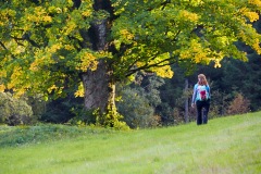 goldsteig-trail-wanderweg-dsc_5076