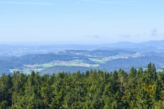 goldsteig-trail-wanderweg-dsc_5093