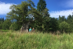 2019-07-05-17.55.34-1