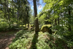 2021-07-16-12.06.40