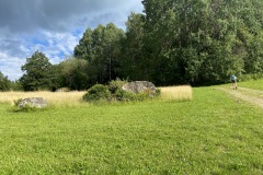 2021-07-16-17.55.46