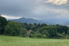 2021-07-18-08.09.48