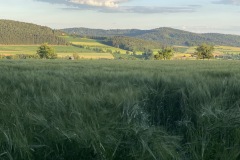 goldsteig-wanderweg-trail-10-11-12-107