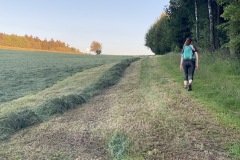 goldsteig-wanderweg-trail-10-11-12-111
