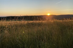 goldsteig-wanderweg-trail-10-11-12-113