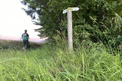 goldsteig-wanderweg-trail-10-11-12-114