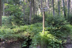 goldsteig-wanderweg-trail-10-11-12-122