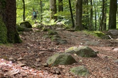 goldsteig-wanderweg-trail-10-11-12-131