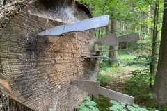 goldsteig-wanderweg-trail-10-11-12-149