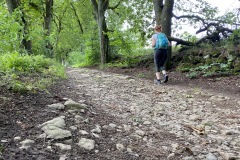 goldsteig-wanderweg-trail-10-11-12-158