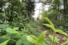 goldsteig-wanderweg-trail-10-11-12-160