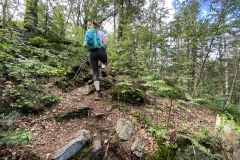 goldsteig-wanderweg-trail-10-11-12-165