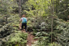 goldsteig-wanderweg-trail-10-11-12-166