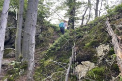 goldsteig-wanderweg-trail-10-11-12-170