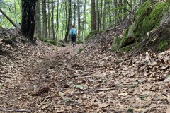 goldsteig-wanderweg-trail-10-11-12-172