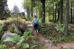 goldsteig-wanderweg-trail-10-11-12-181