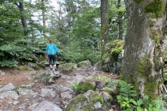 goldsteig-wanderweg-trail-10-11-12-185