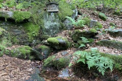 goldsteig-wanderweg-trail-10-11-12-187