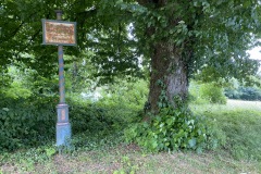 goldsteig-wanderweg-trail-10-11-12-194
